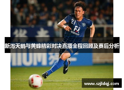新泻天鹅与黄蜂精彩对决直播全程回顾及赛后分析